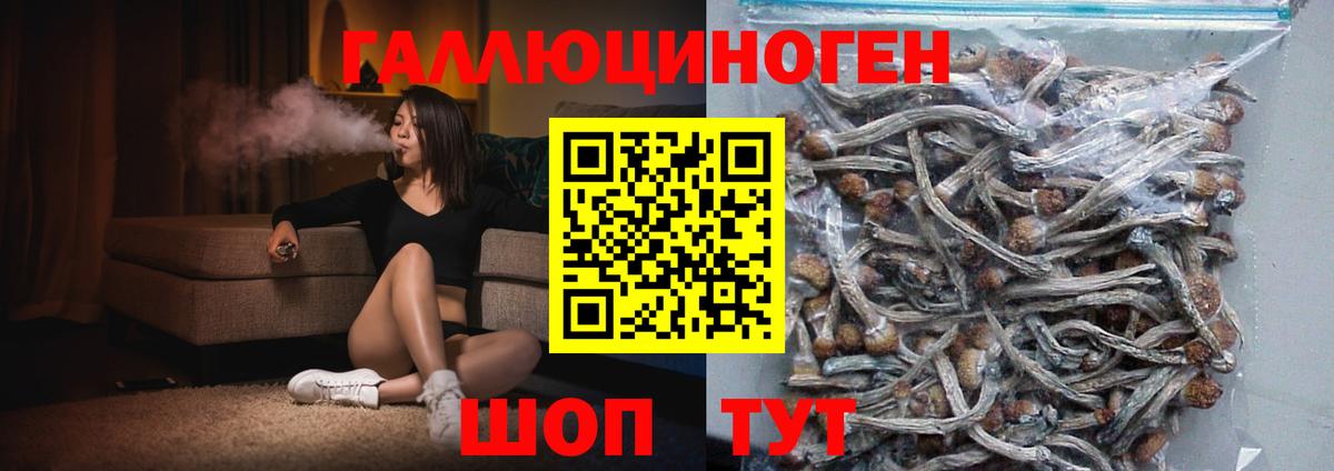 Псилоцибиновые грибы ЛСД Камышлов